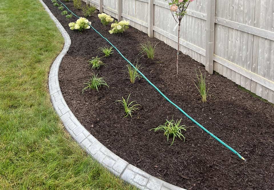 Landscape design and installation