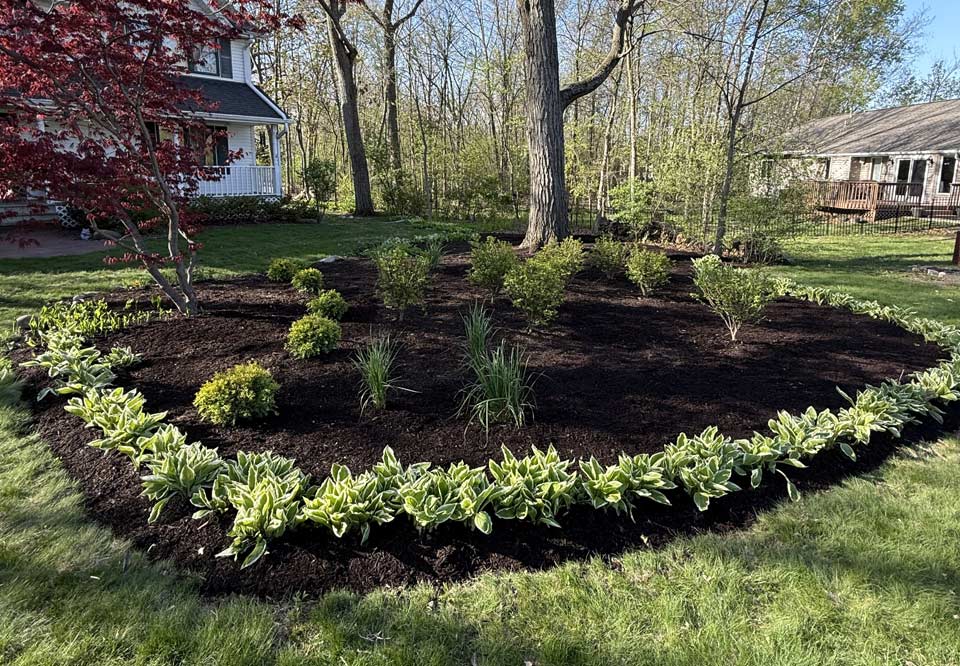 Edging and fresh mulch