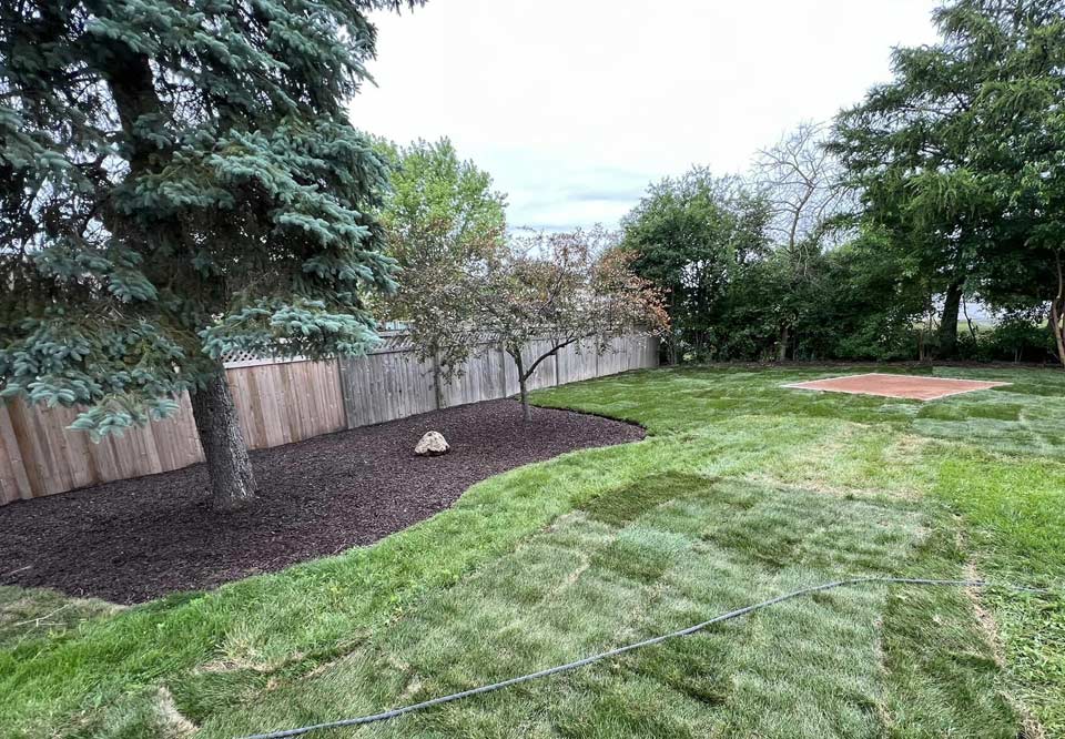 Backyard transformation